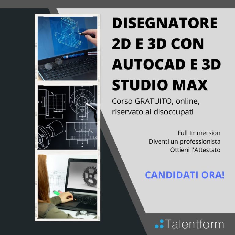Disegnatore 2D e 3D con AutoCAD e 3D Studio Max1