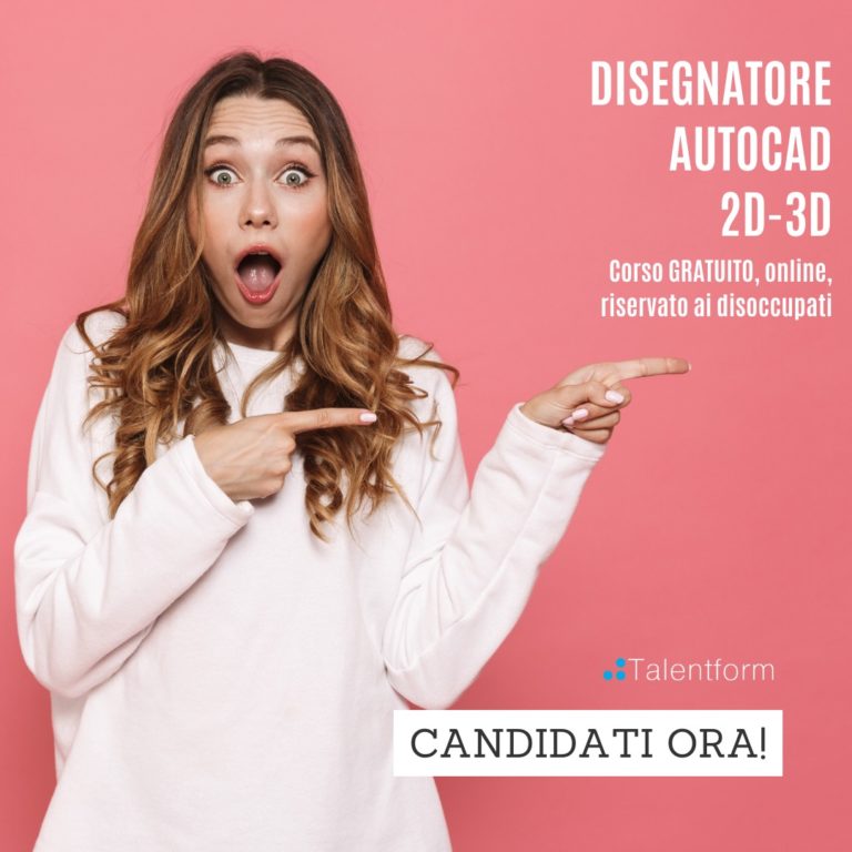 disegnatore autocad 2024 5